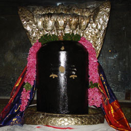 Meditation in Kundalini Maamunivar Jeeva Samadhi