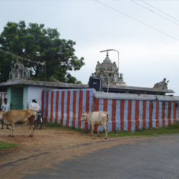 Spiritual Tours to Idaikattu Siddhar's birth place