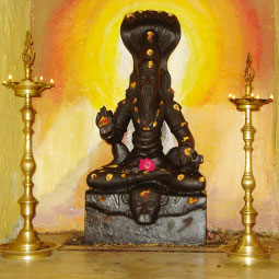 Spiritual Tours to Saptha Rishi Vanam