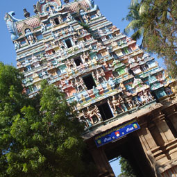 Spiritual Tours to Thiruvathavur, the birth place of Manickavasagar